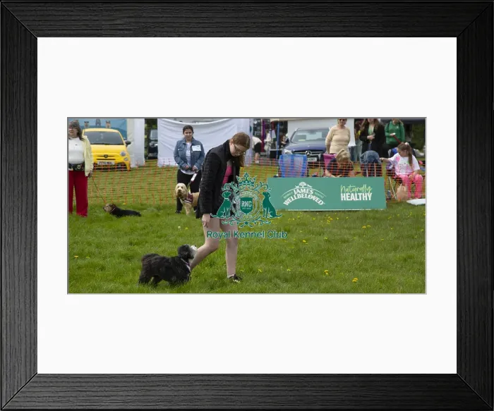 Framed Print : Scruffts Hylands Park Framed Print : Scruffts Hylands Park