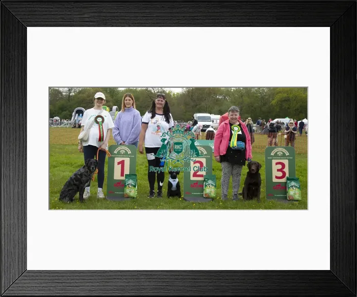 Framed Print : Scruffts Hylands Park Framed Print : Scruffts Hylands Park