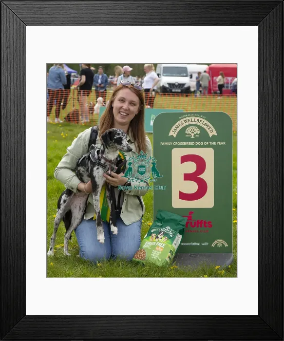 Framed Print : Scruffts Hylands Park Framed Print : Scruffts Hylands Park