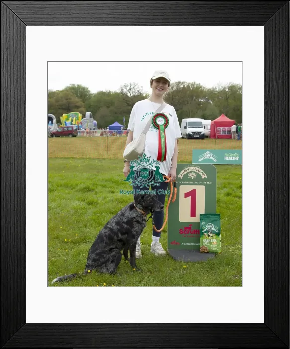 Framed Print : Scruffts Hylands Park Framed Print : Scruffts Hylands Park