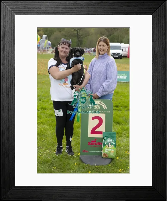 Framed Print : Scruffts Hylands Park Framed Print : Scruffts Hylands Park
