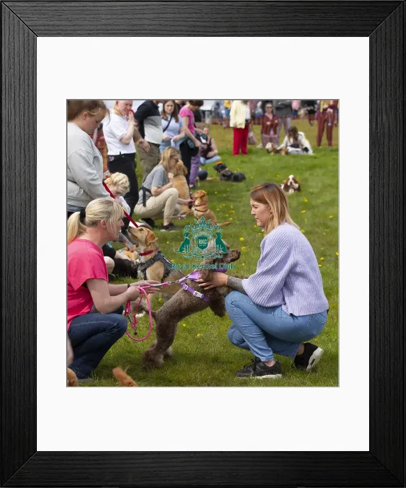 Framed Print : Scruffts Hylands Park Framed Print : Scruffts Hylands Park