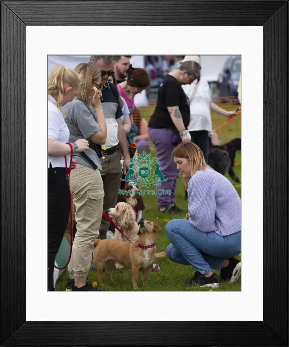 Framed Print : Scruffts Hylands Park Framed Print : Scruffts Hylands Park