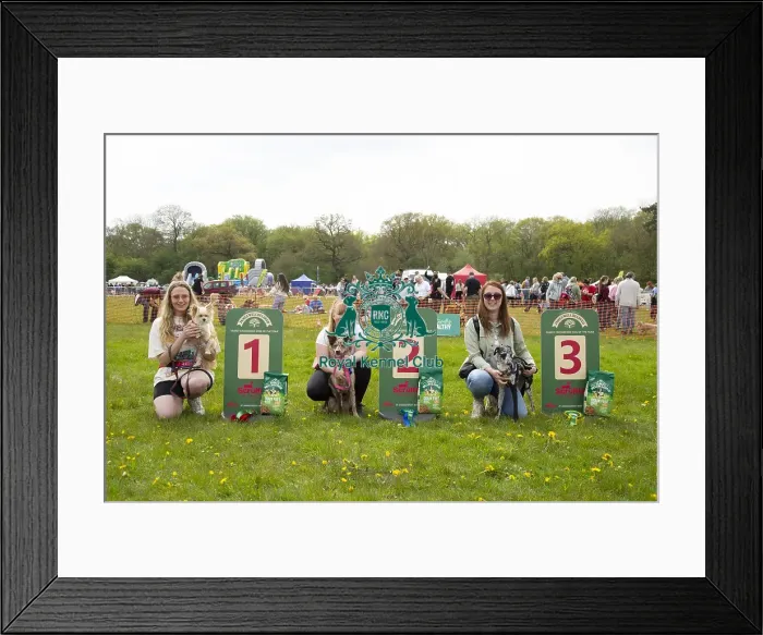 Framed Print : Scruffts Hylands Park Framed Print : Scruffts Hylands Park