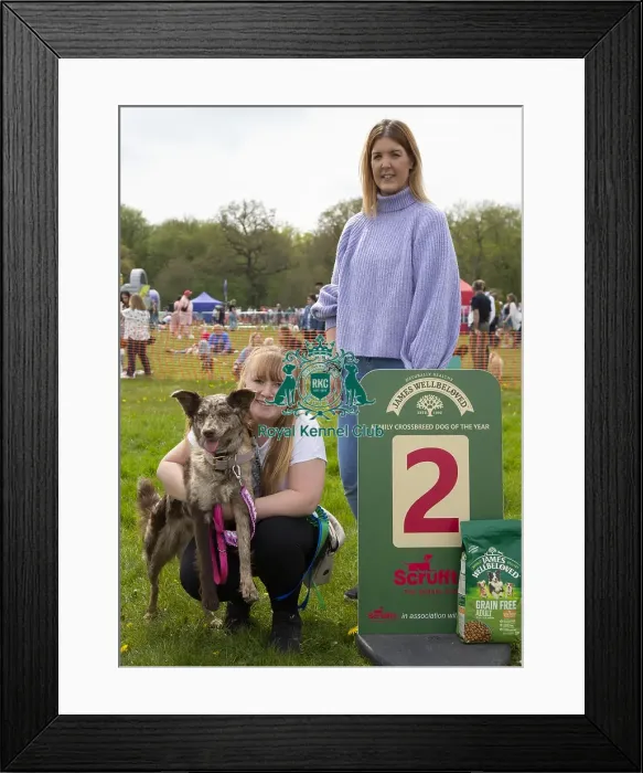 Framed Print : Scruffts Hylands Park Framed Print : Scruffts Hylands Park
