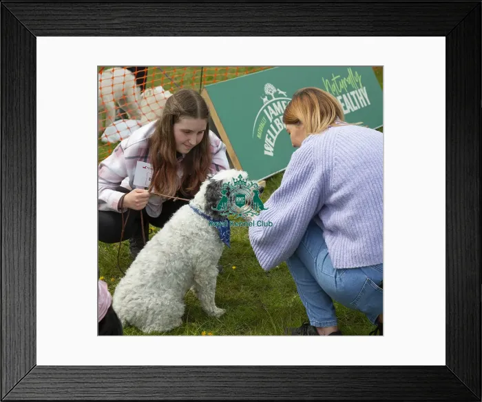 Framed Print : Scruffts Hylands Park Framed Print : Scruffts Hylands Park