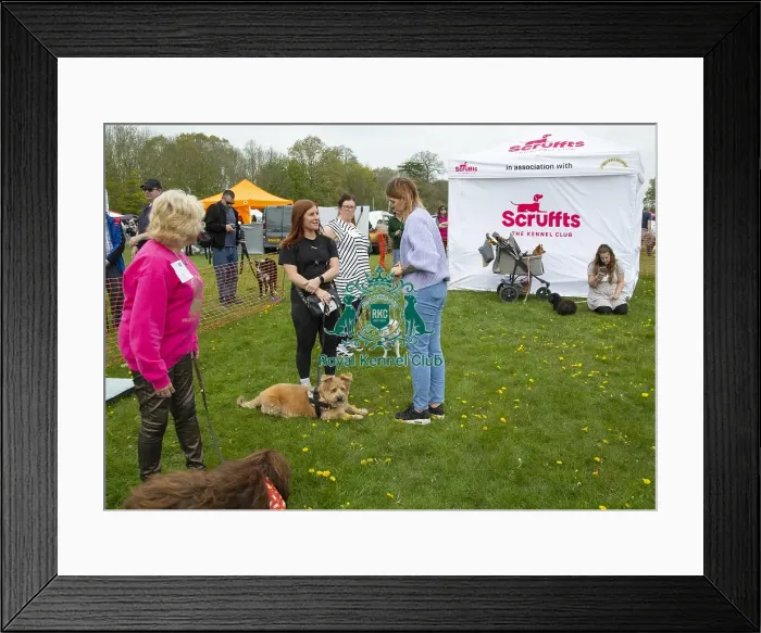 Framed Print : Scruffts Hylands Park Framed Print : Scruffts Hylands Park