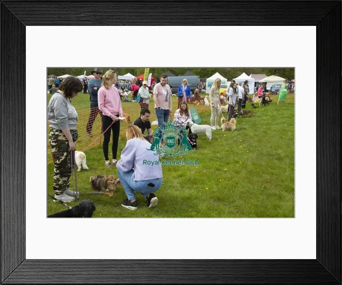 Framed Print : Scruffts Hylands Park Framed Print : Scruffts Hylands Park