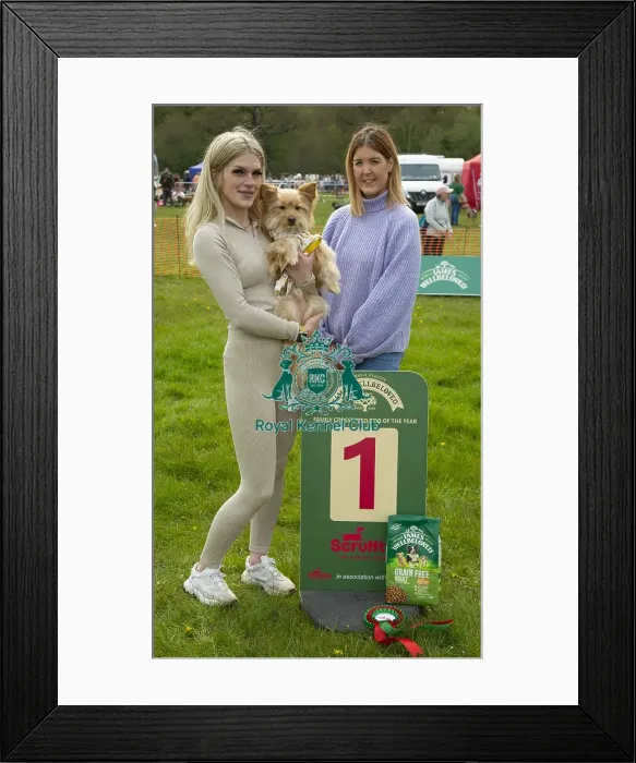 Framed Print : Scruffts Hylands Park Framed Print : Scruffts Hylands Park