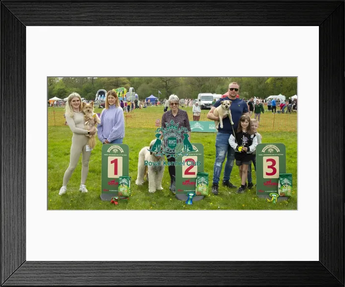 Framed Print : Scruffts Hylands Park Framed Print : Scruffts Hylands Park