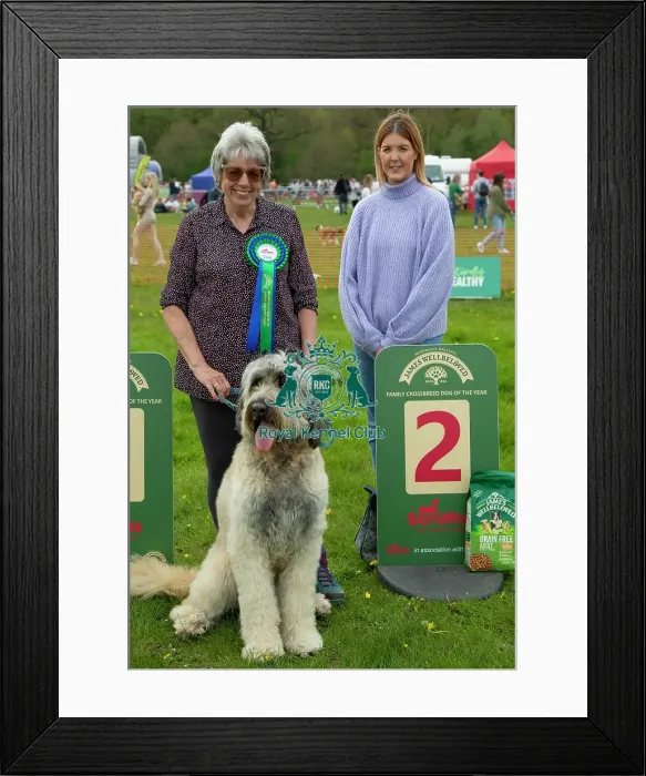 Framed Print : Scruffts Hylands Park Framed Print : Scruffts Hylands Park