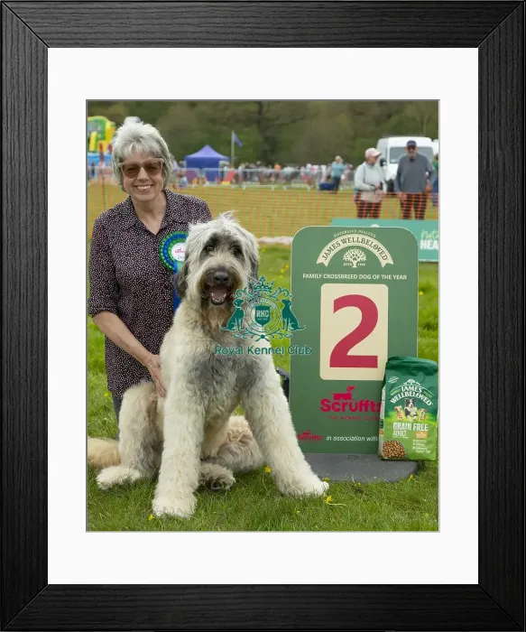Framed Print : Scruffts Hylands Park Framed Print : Scruffts Hylands Park
