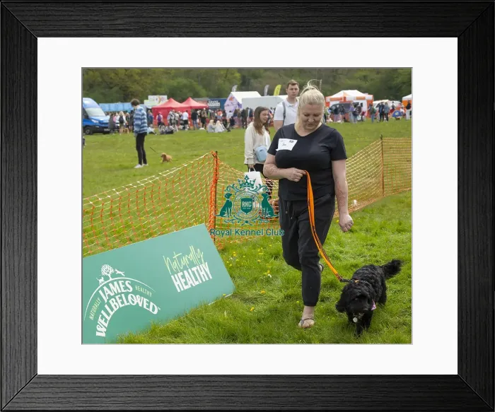 Framed Print : Scruffts Hylands Park Framed Print : Scruffts Hylands Park