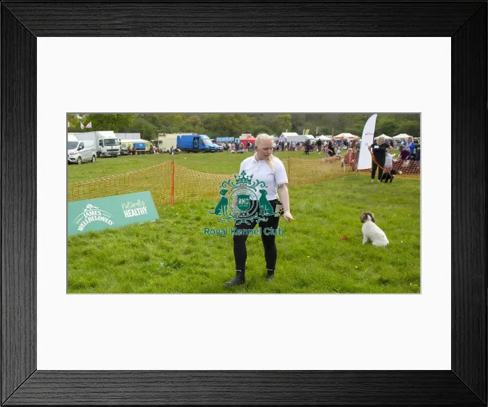 Framed Print : Scruffts Hylands Park Framed Print : Scruffts Hylands Park