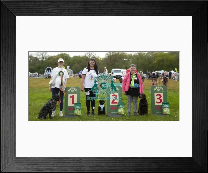 Framed Print : Scruffts Hylands Park Framed Print : Scruffts Hylands Park