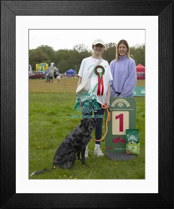 Framed Print : Scruffts Hylands Park Framed Print : Scruffts Hylands Park