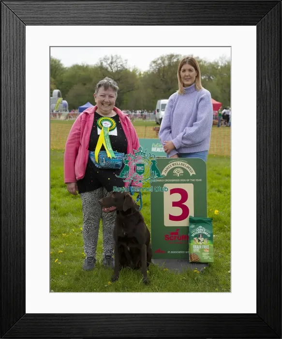 Framed Print : Scruffts Hylands Park Framed Print : Scruffts Hylands Park