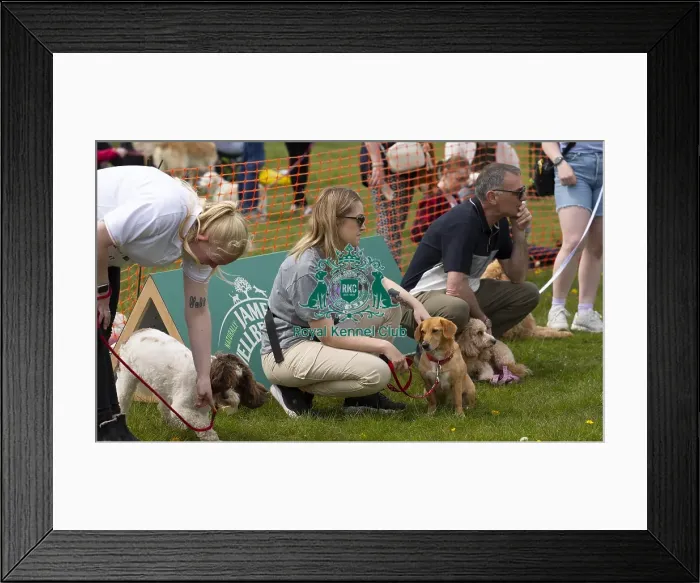 Framed Print : Scruffts Hylands Park Framed Print : Scruffts Hylands Park