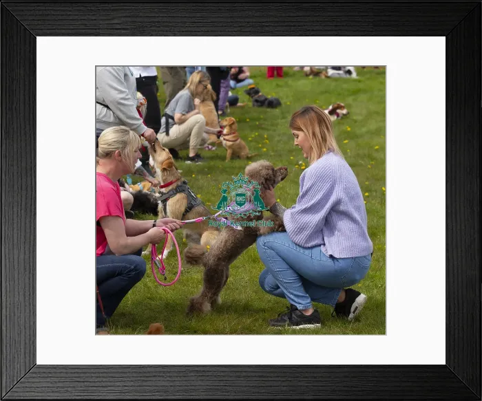 Framed Print : Scruffts Hylands Park Framed Print : Scruffts Hylands Park