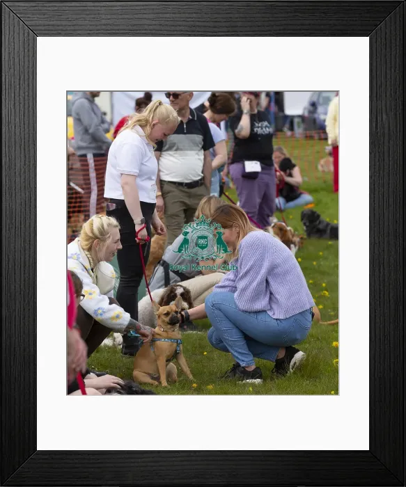 Framed Print : Scruffts Hylands Park Framed Print : Scruffts Hylands Park