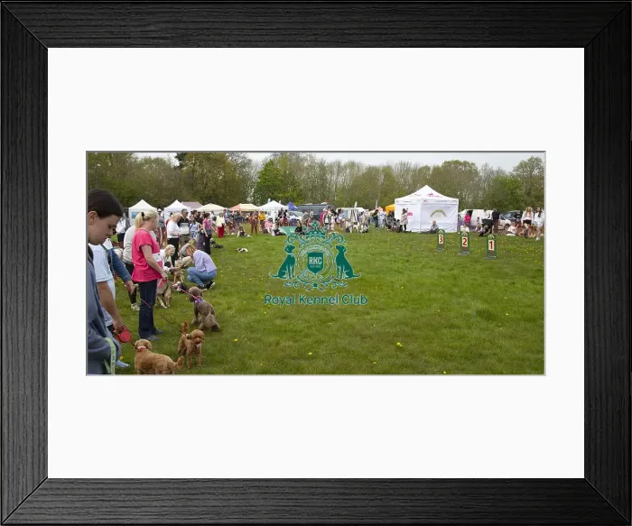 Framed Print : Scruffts Hylands Park Framed Print : Scruffts Hylands Park
