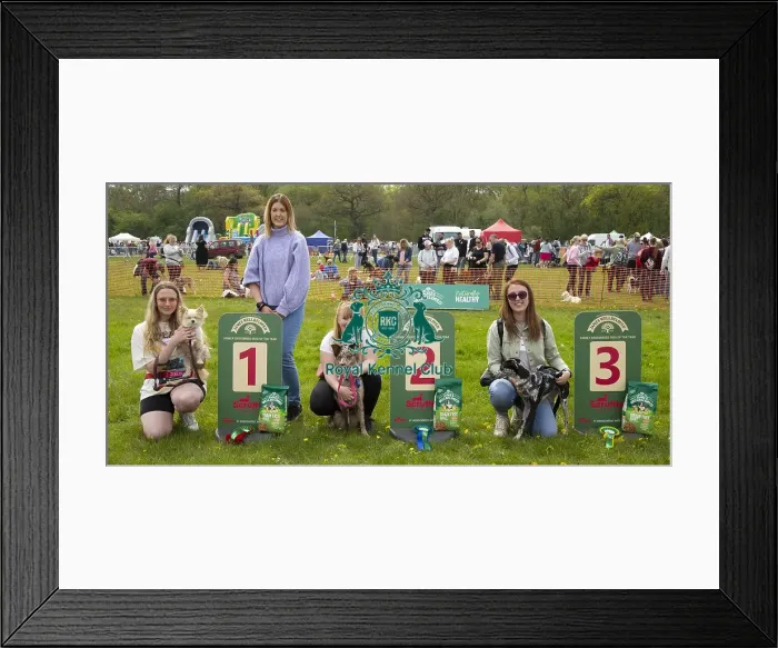 Framed Print : Scruffts Hylands Park Framed Print : Scruffts Hylands Park