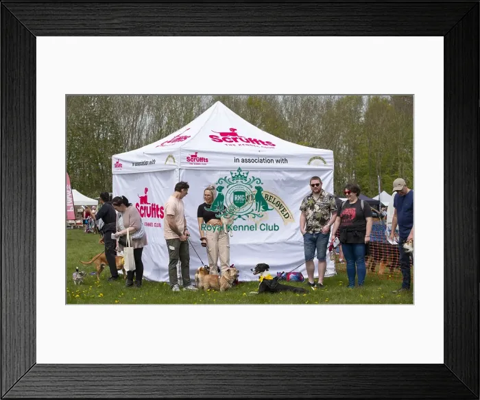 Framed Print : Scruffts Hylands Park Framed Print : Scruffts Hylands Park