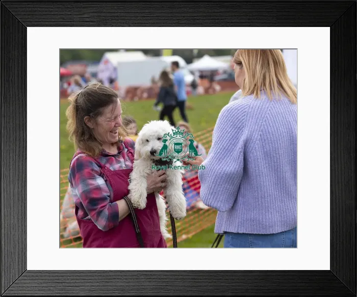 Framed Print : Scruffts Hylands Park Framed Print : Scruffts Hylands Park