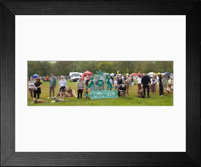 Framed Print : Scruffts Hylands Park Framed Print : Scruffts Hylands Park