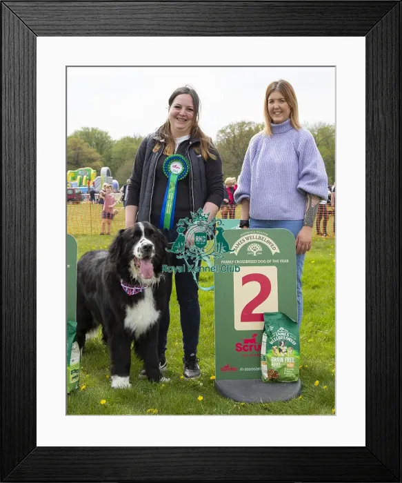 Framed Print : Scruffts Hylands Park Framed Print : Scruffts Hylands Park