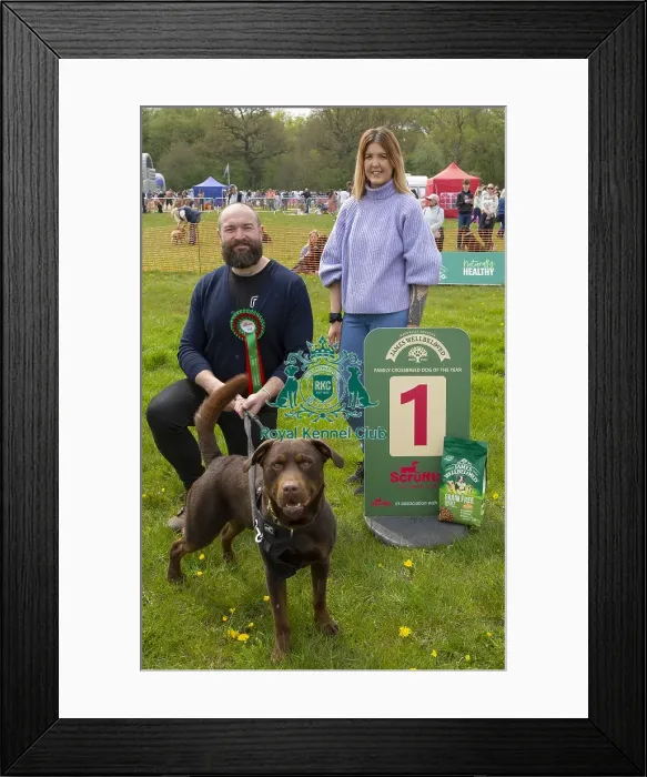 Framed Print : Scruffts Hylands Park