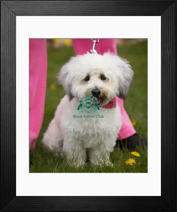 Framed Print : Scruffts Hylands Park Framed Print : Scruffts Hylands Park