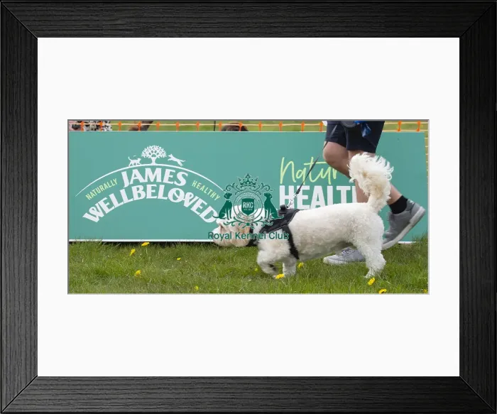 Framed Print : Scruffts Hylands Park Framed Print : Scruffts Hylands Park