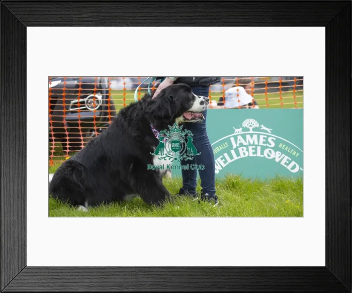 Framed Print : Scruffts Hylands Park Framed Print : Scruffts Hylands Park