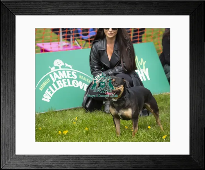 Framed Print : Scruffts Hylands Park Framed Print : Scruffts Hylands Park