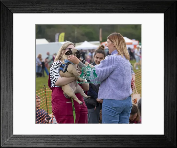 Framed Print : Scruffts Hylands Park Framed Print : Scruffts Hylands Park