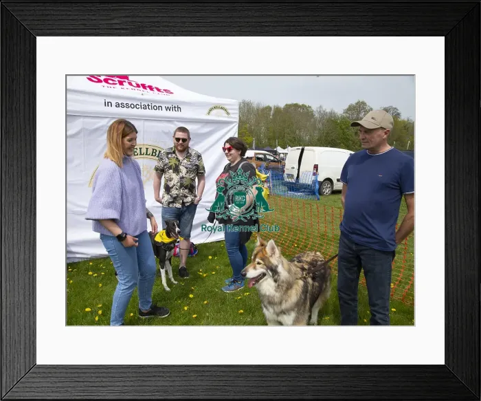 Framed Print : Scruffts Hylands Park Framed Print : Scruffts Hylands Park