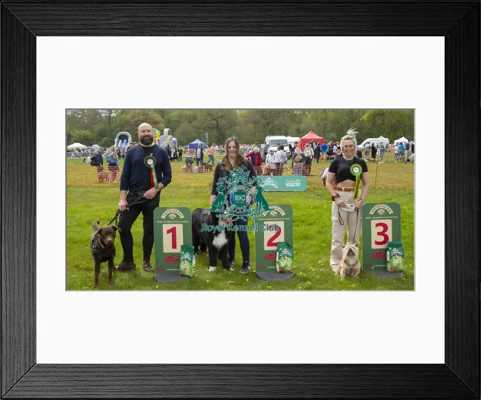 Framed Print : Scruffts Hylands Park Framed Print : Scruffts Hylands Park