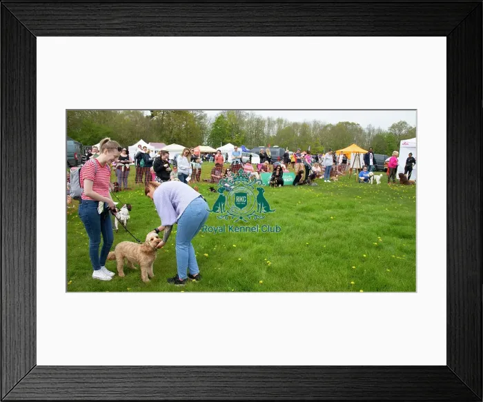 Framed Print : Scruffts Hylands Park Framed Print : Scruffts Hylands Park