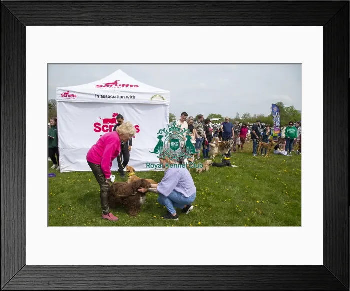 Framed Print : Scruffts Hylands Park Framed Print : Scruffts Hylands Park