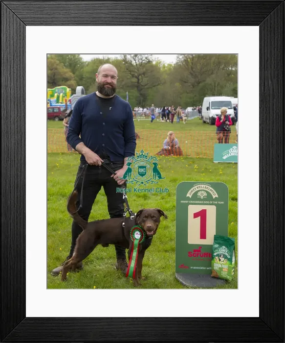 Framed Print : Scruffts Hylands Park Framed Print : Scruffts Hylands Park
