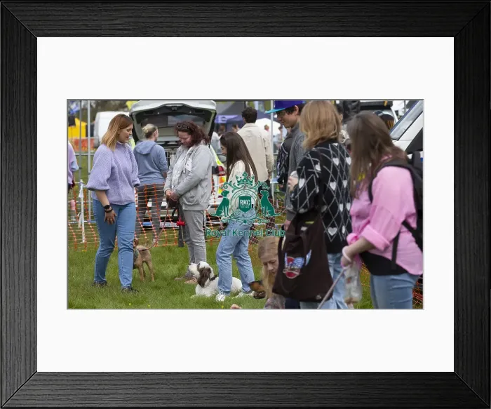 Framed Print : Scruffts Hylands Park Framed Print : Scruffts Hylands Park