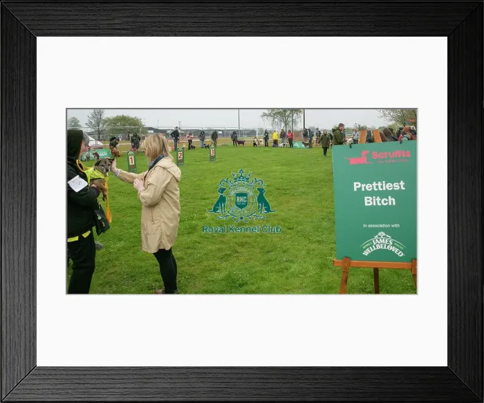 Framed Print : Scruffts Newark 23rd April 2023 Framed Print : Scruffts Newark 23rd April 2023