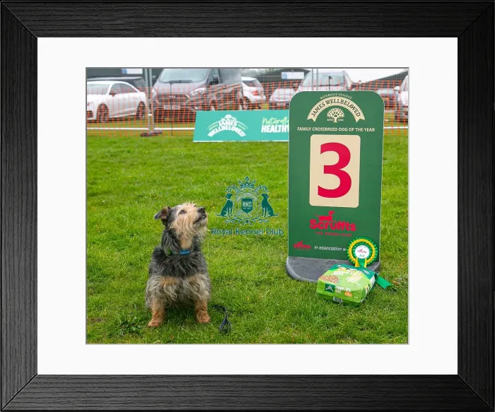 Framed Print : Scruffts Newark 23rd April 2023