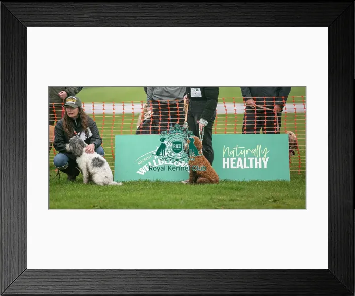 Framed Print : Scruffts Newark 23rd April 2023 Framed Print : Scruffts Newark 23rd April 2023