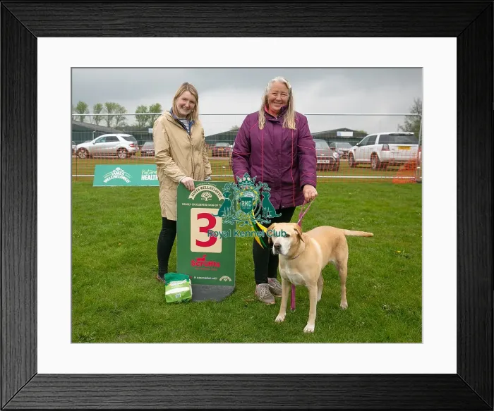 Framed Print : Scruffts Newark 23rd April 2023 Framed Print : Scruffts Newark 23rd April 2023
