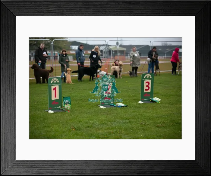 Framed Print : Scruffts Newark 23rd April 2023 Framed Print : Scruffts Newark 23rd April 2023