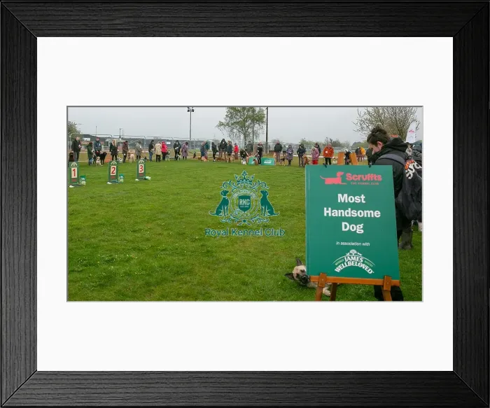 Framed Print : Scruffts Newark 23rd April 2023 Framed Print : Scruffts Newark 23rd April 2023