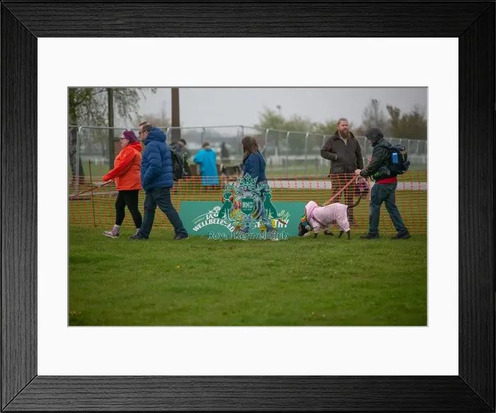 Framed Print : Scruffts Newark 23rd April 2023 Framed Print : Scruffts Newark 23rd April 2023
