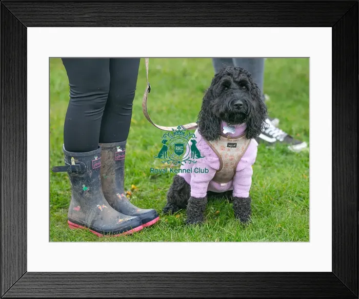 Framed Print : Scruffts Newark 23rd April 2023
